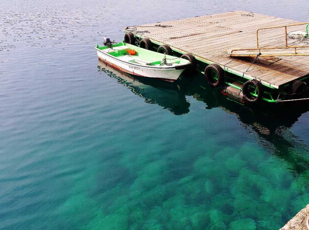 大月町の海