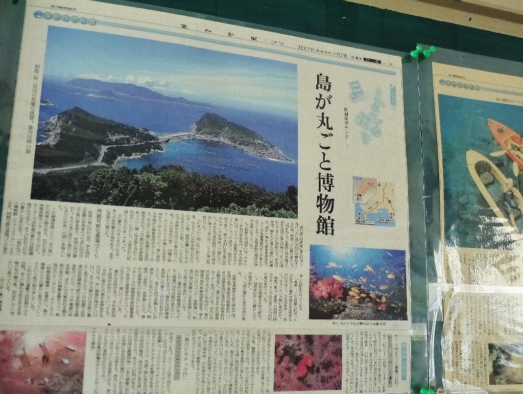 栢島の新聞記事